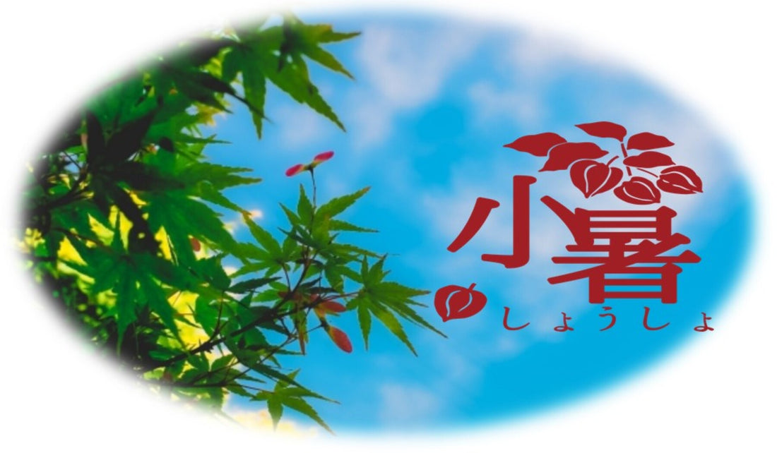 7月の養生 ~小暑~