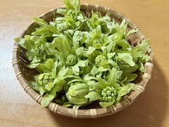ドラマ「しあわせは食べて寝て」より～春の薬膳～