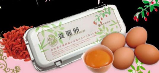2026年養麗卵大寒卵　２０２６年1月２４日迄受付